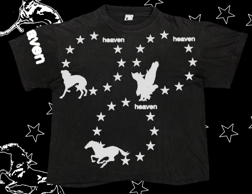 {SHIRT-4}