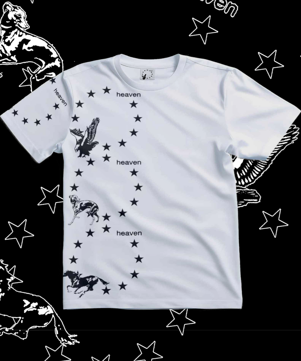 {SHIRT-3}